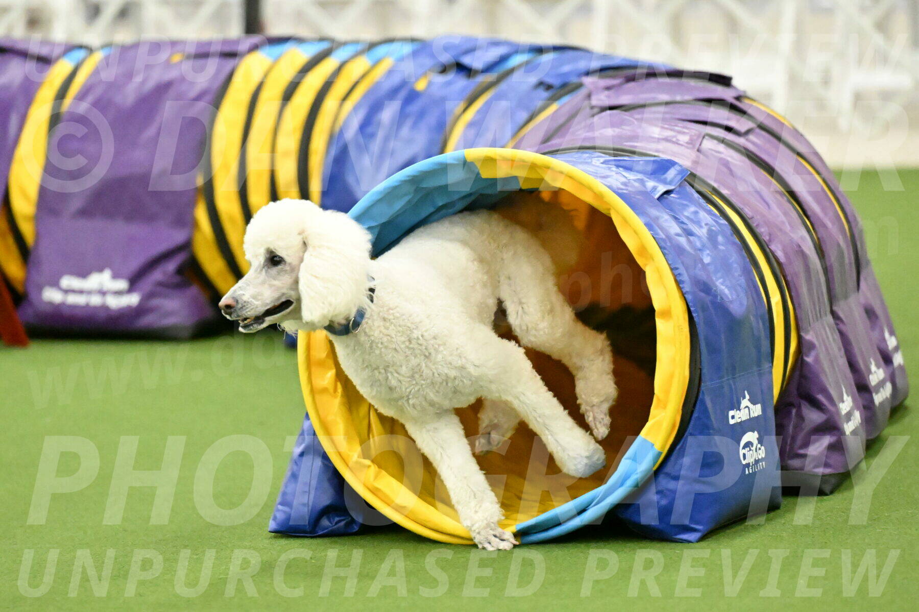 MAS-EX-JWW-20-Inch_2755