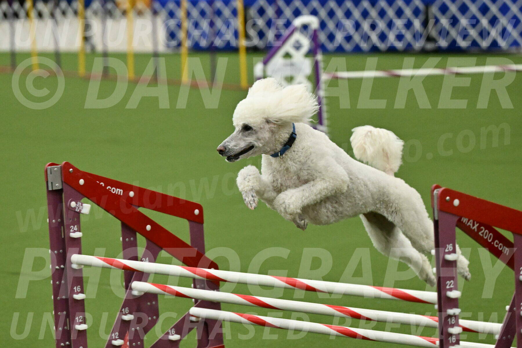 MAS-EX-JWW-20-Inch_2764