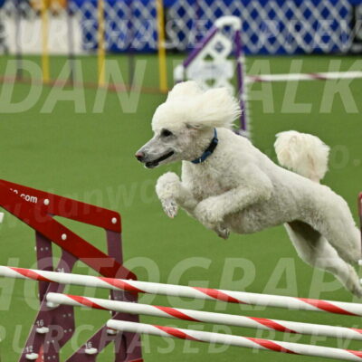 MAS-EX-JWW-20-Inch_2764