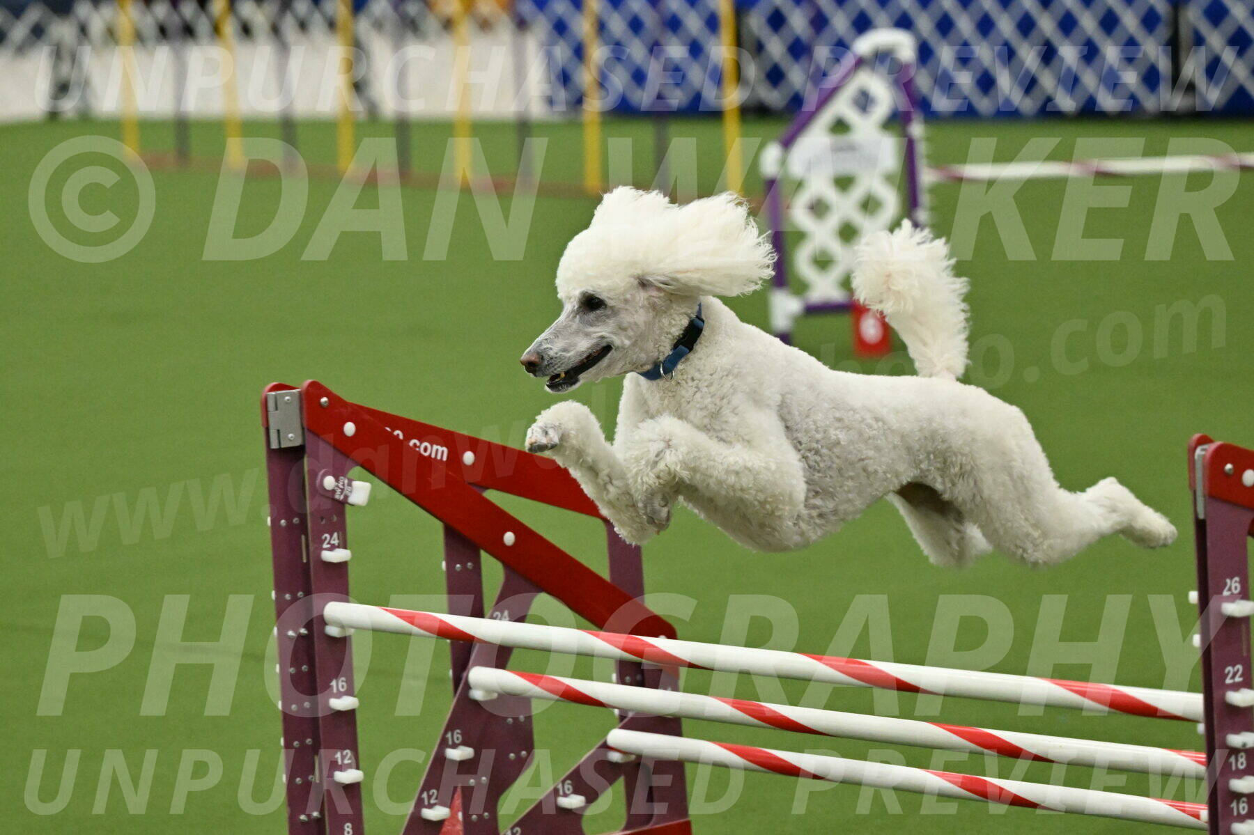 MAS-EX-JWW-20-Inch_2765