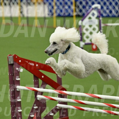 MAS-EX-JWW-20-Inch_2765