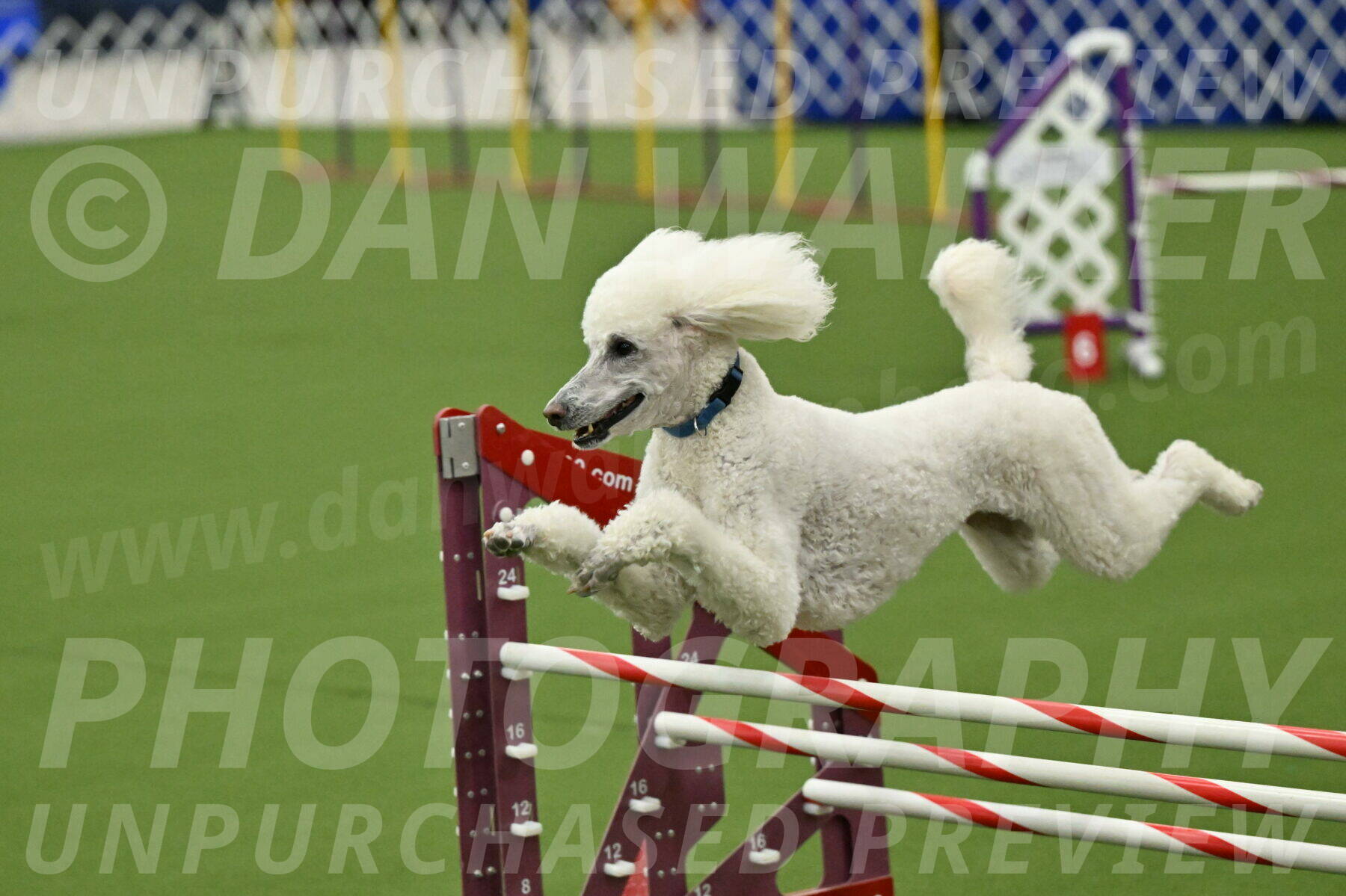 MAS-EX-JWW-20-Inch_2766