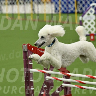 MAS-EX-JWW-20-Inch_2766