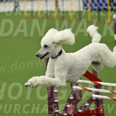 MAS-EX-JWW-20-Inch_2767