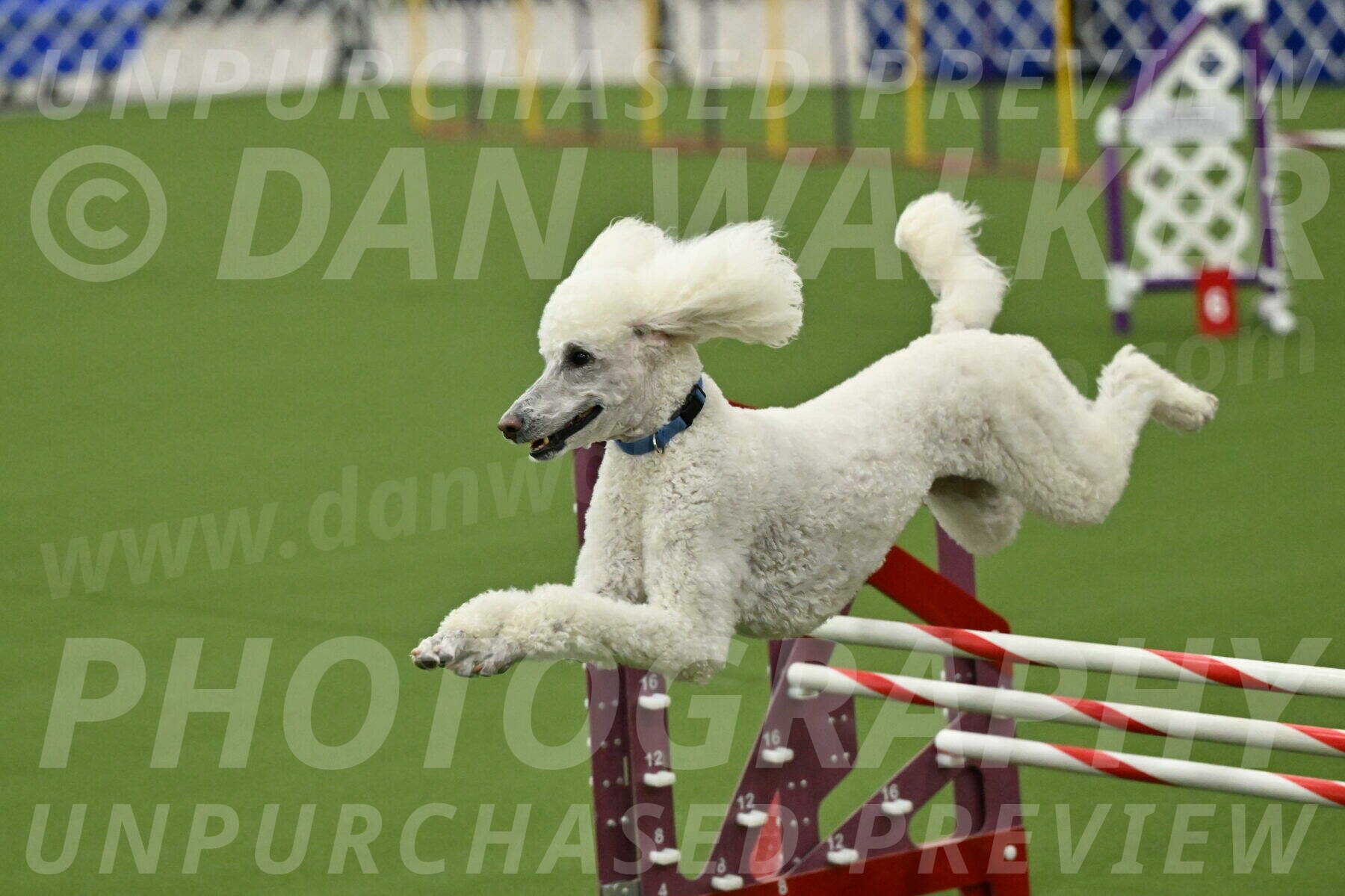 MAS-EX-JWW-20-Inch_2767