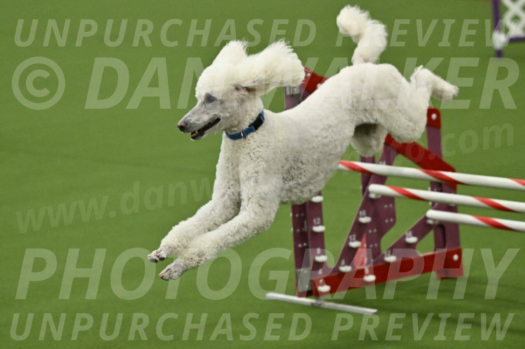 MAS-EX-JWW-20-Inch_2768