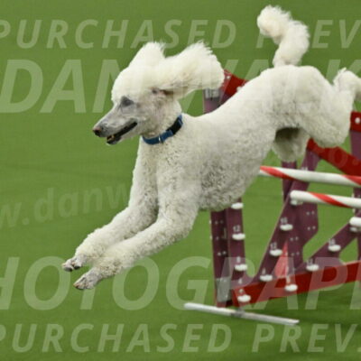 MAS-EX-JWW-20-Inch_2768