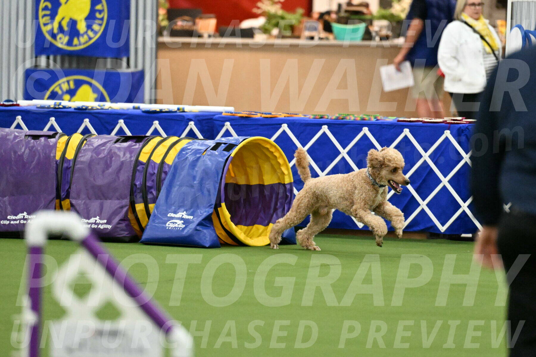 MAS-EX-JWW-20-Inch_2771