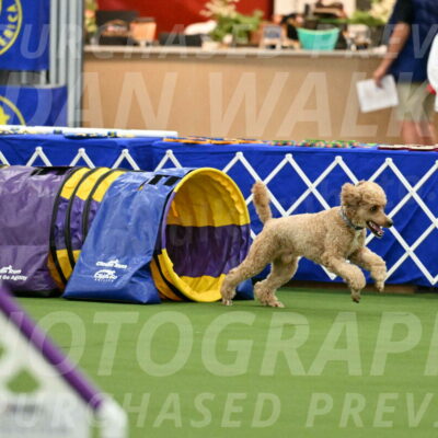 MAS-EX-JWW-20-Inch_2771