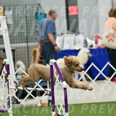 MAS-EX-JWW-20-Inch_2774