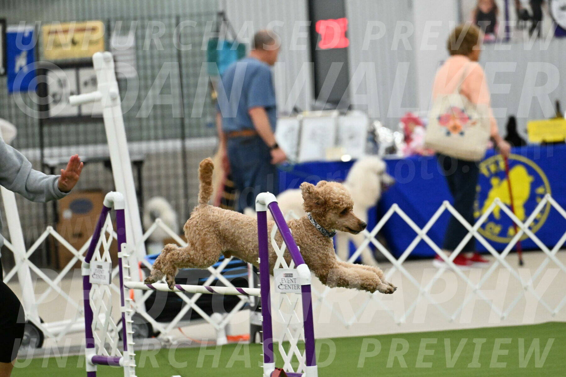 MAS-EX-JWW-20-Inch_2774