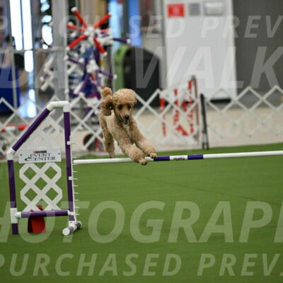 MAS-EX-JWW-20-Inch_2777