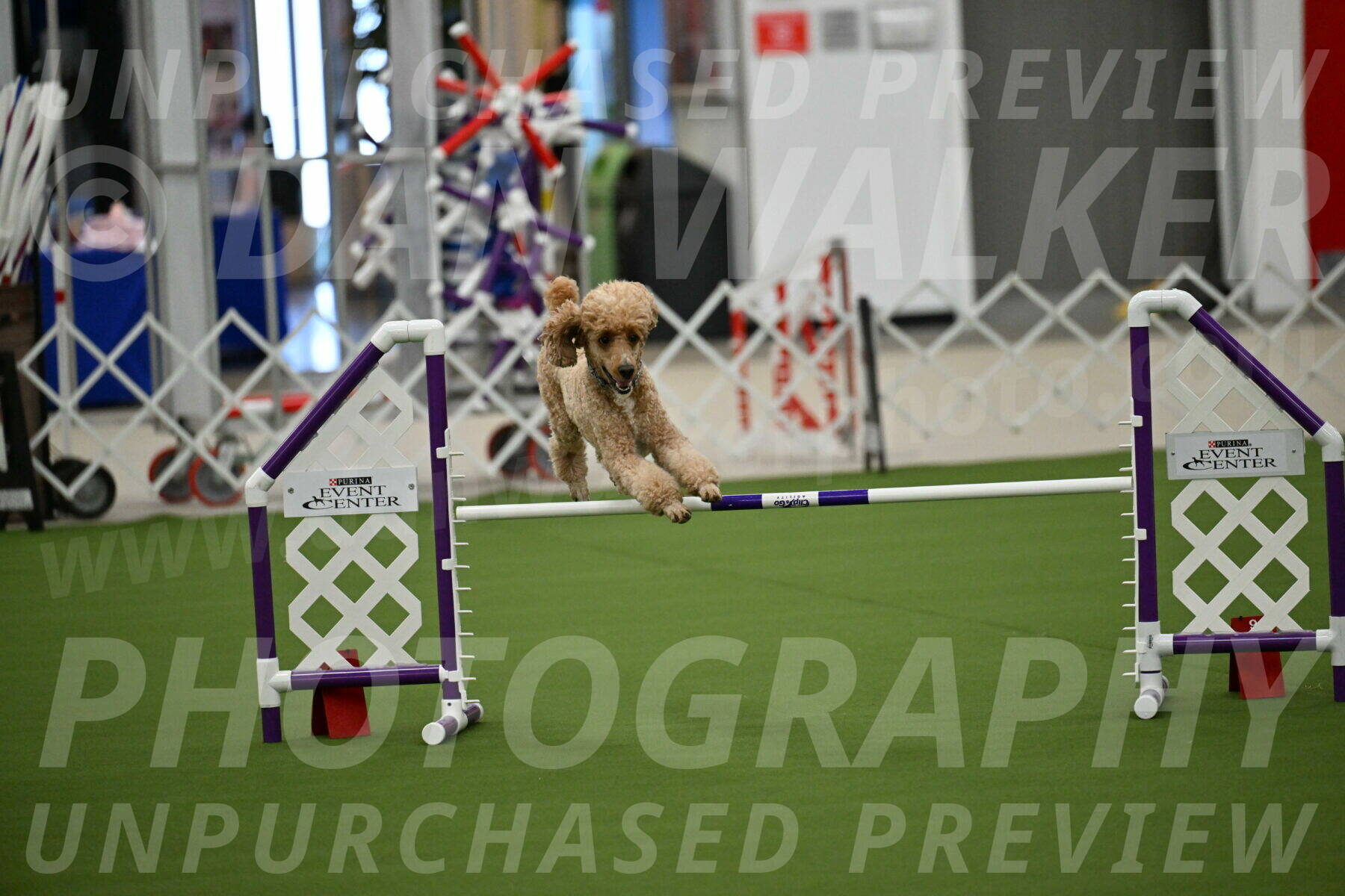 MAS-EX-JWW-20-Inch_2777