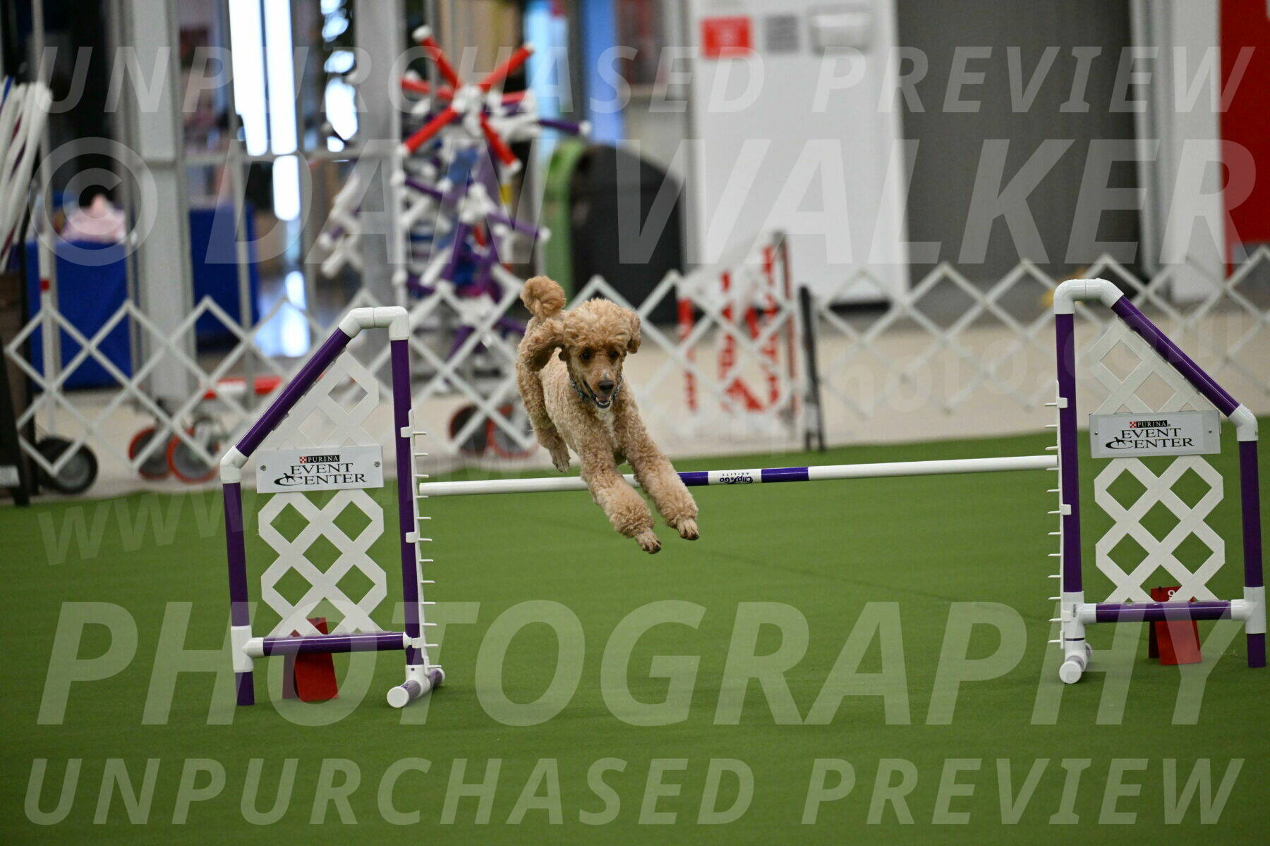 MAS-EX-JWW-20-Inch_2778