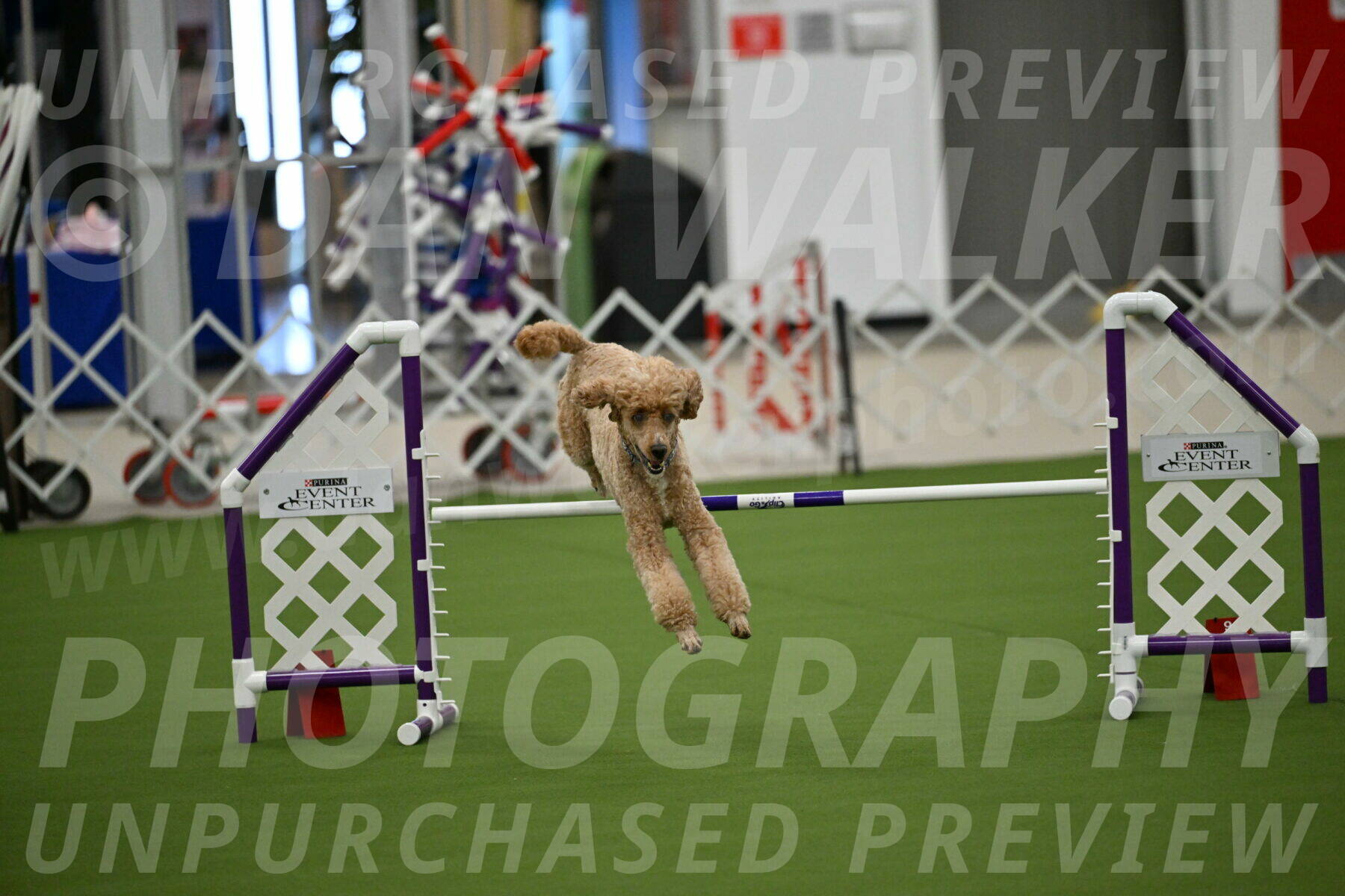 MAS-EX-JWW-20-Inch_2779