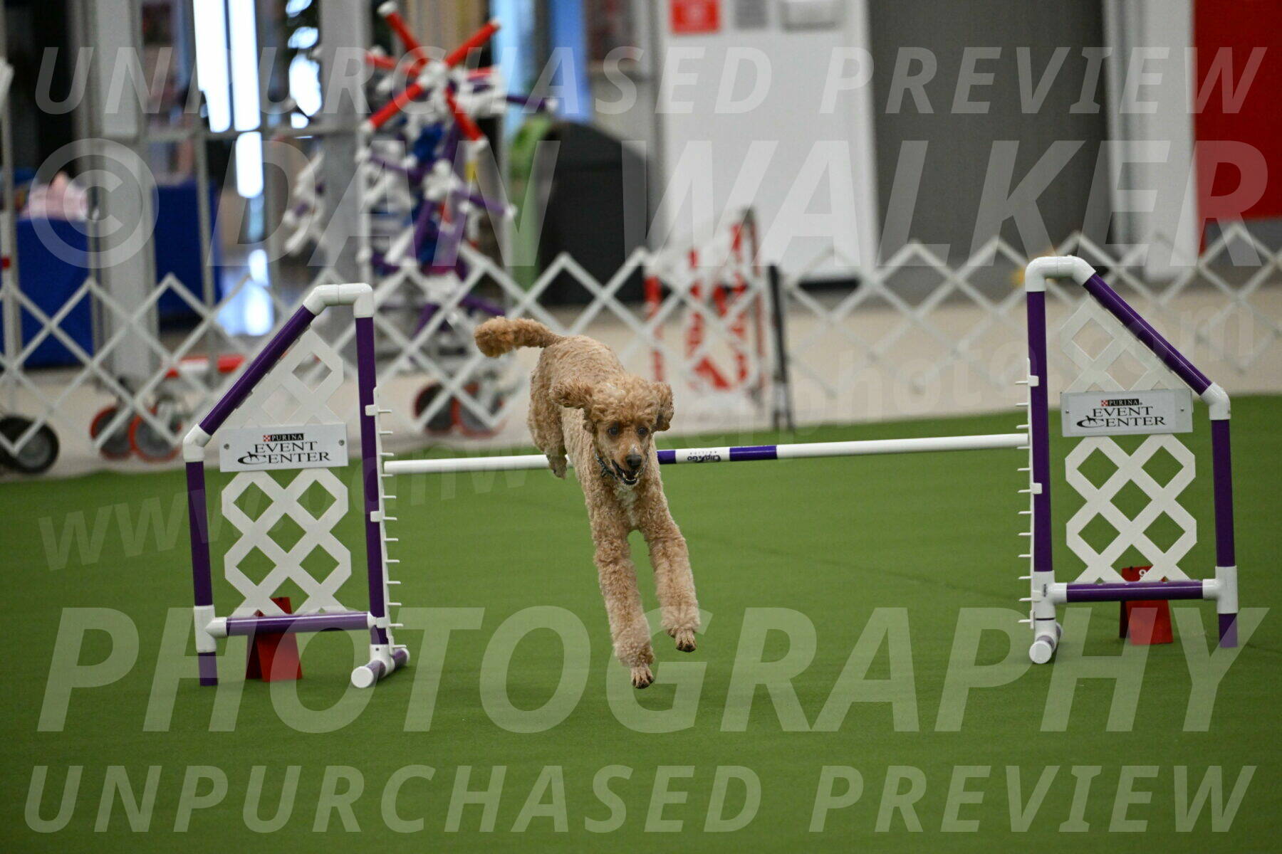 MAS-EX-JWW-20-Inch_2780