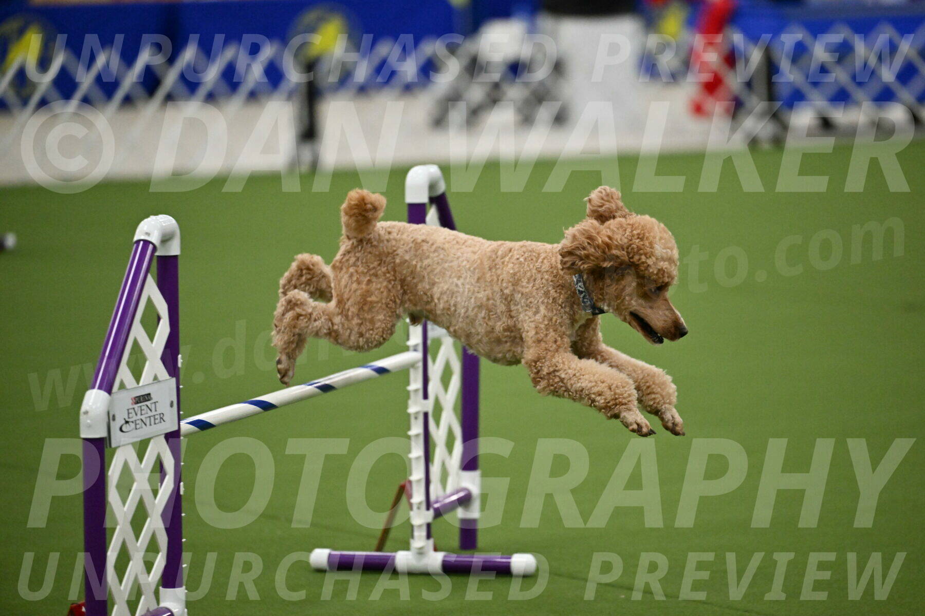 MAS-EX-JWW-20-Inch_2786