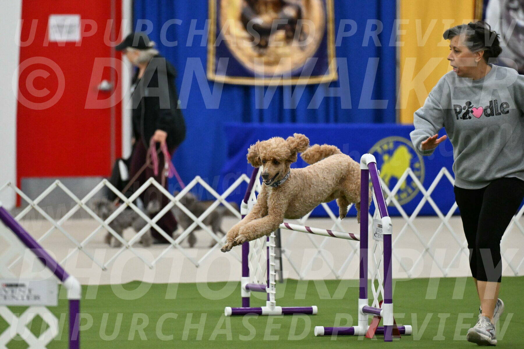 MAS-EX-JWW-20-Inch_2789