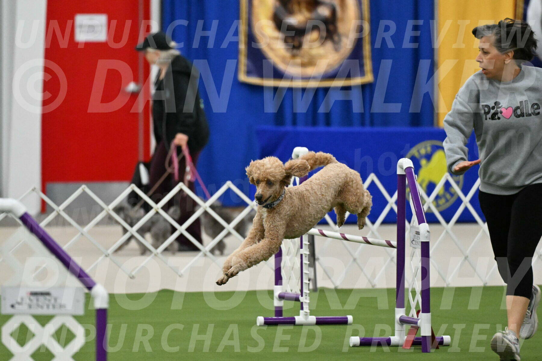 MAS-EX-JWW-20-Inch_2790