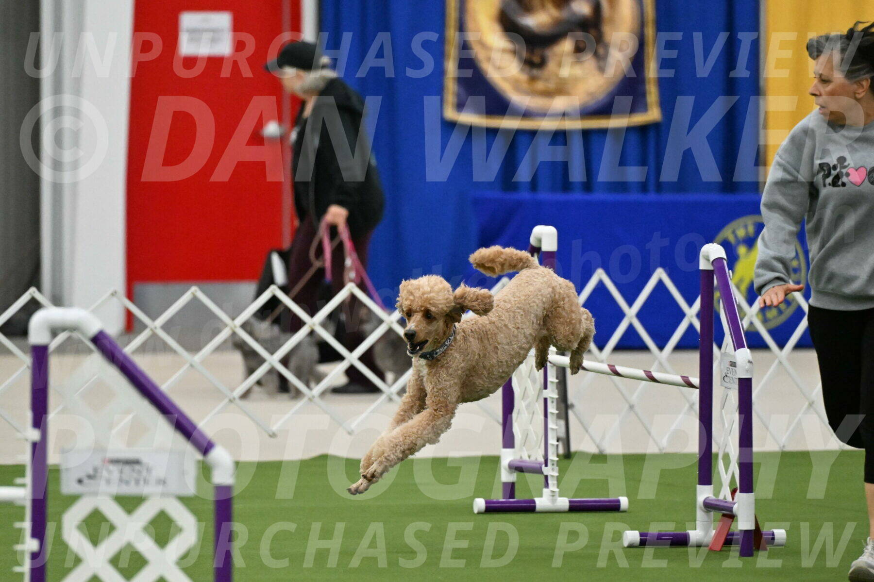 MAS-EX-JWW-20-Inch_2791