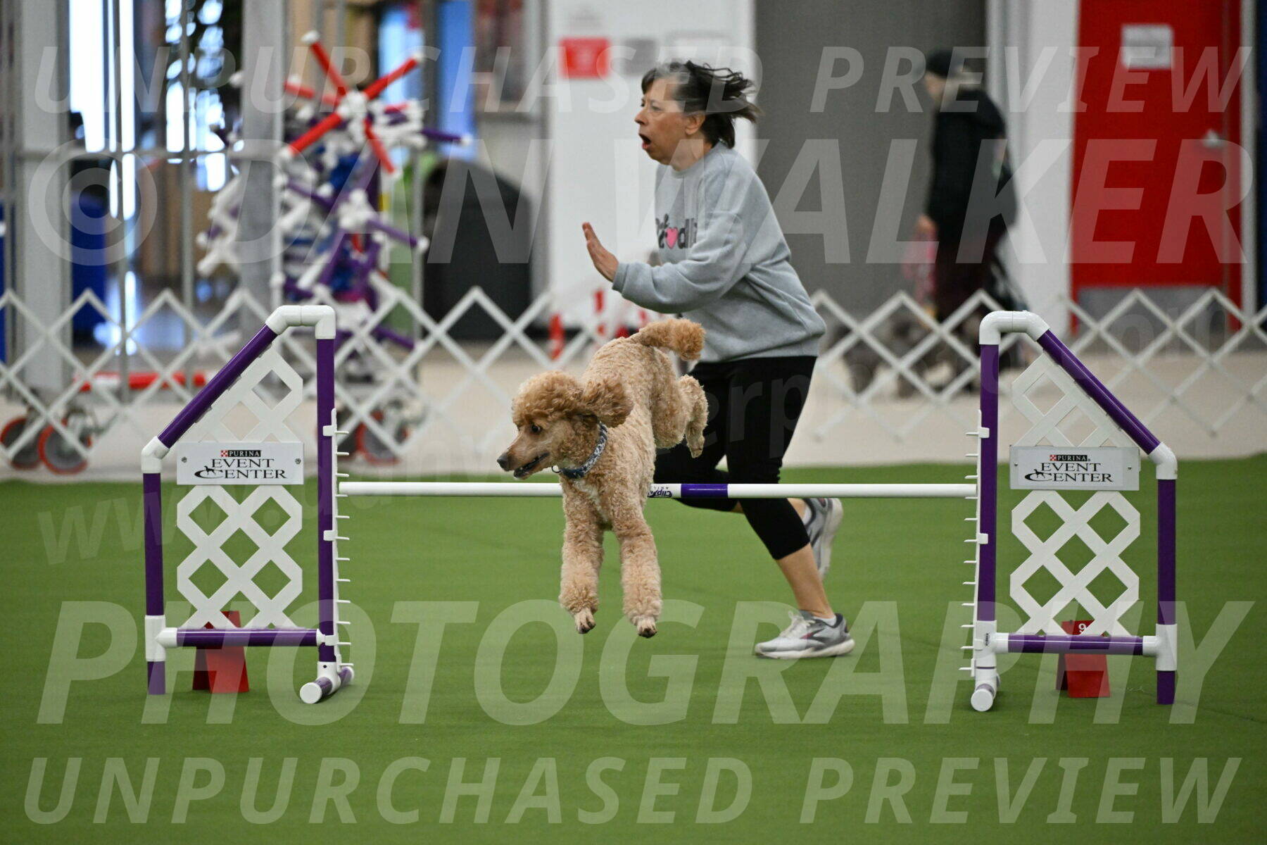 MAS-EX-JWW-20-Inch_2798