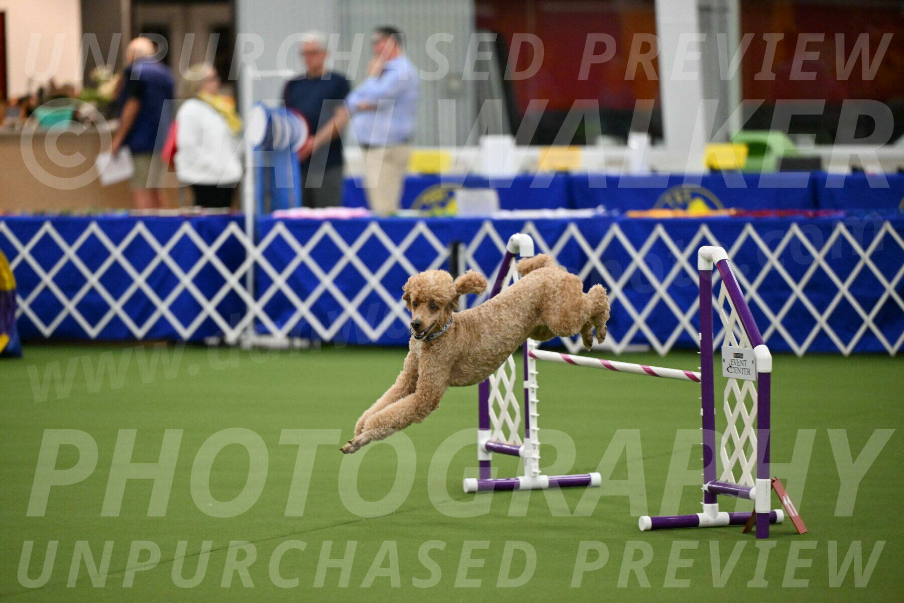 MAS-EX-JWW-20-Inch_2802