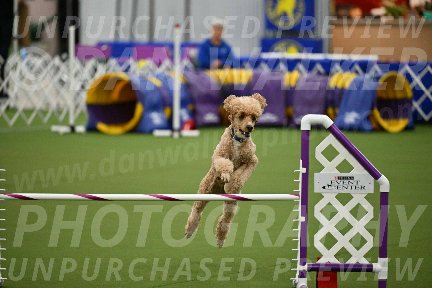 MAS-EX-JWW-20-Inch_2804