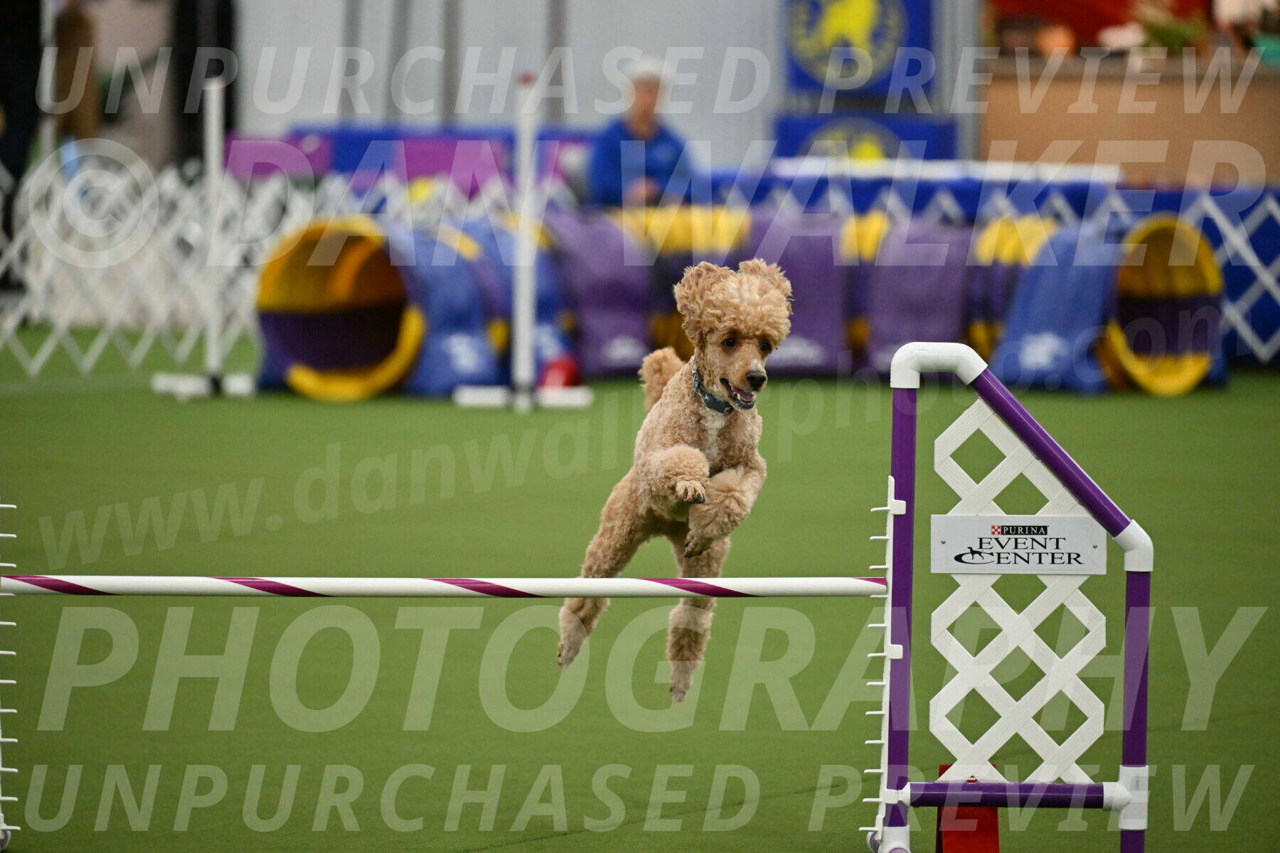 MAS-EX-JWW-20-Inch_2805