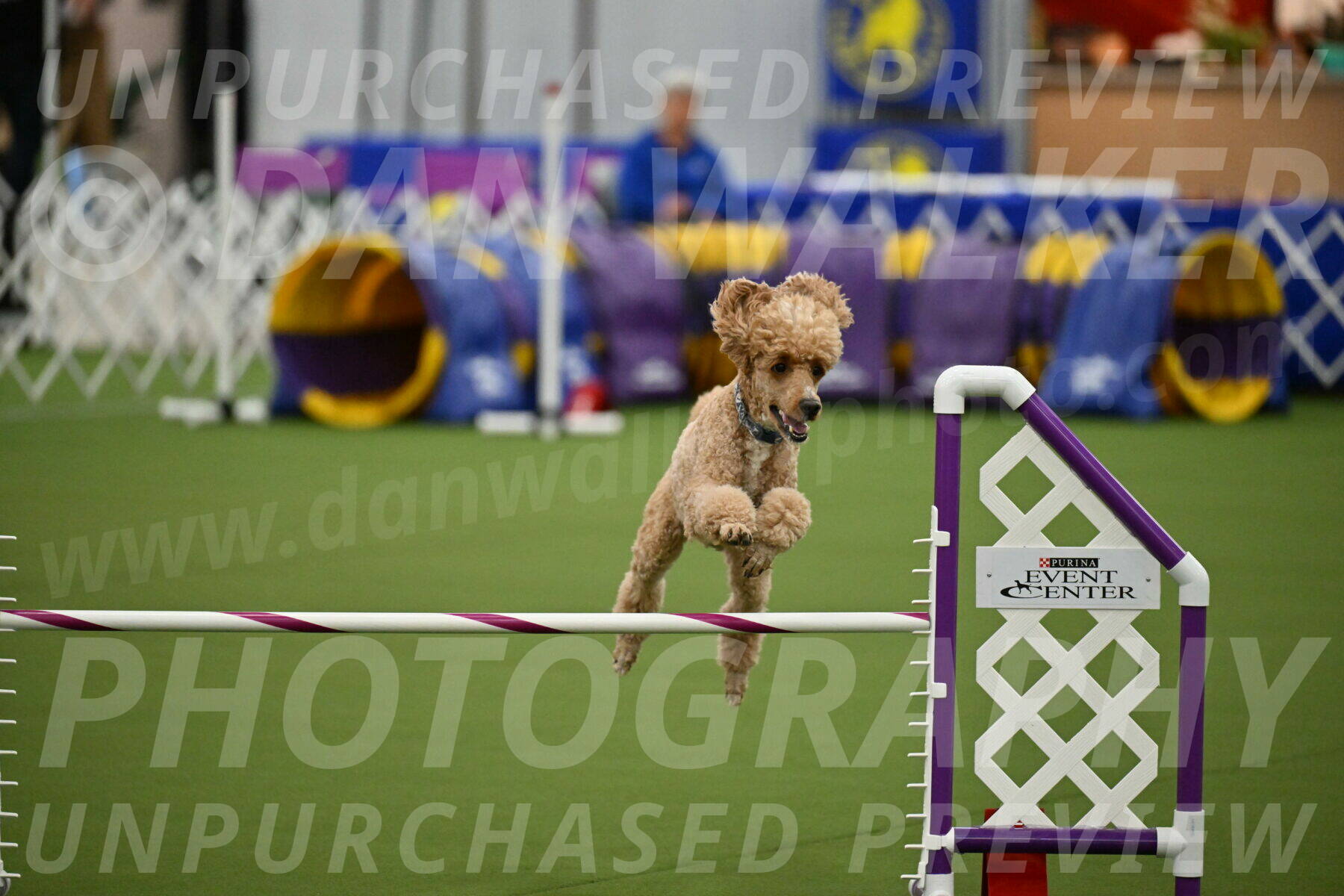 MAS-EX-JWW-20-Inch_2806