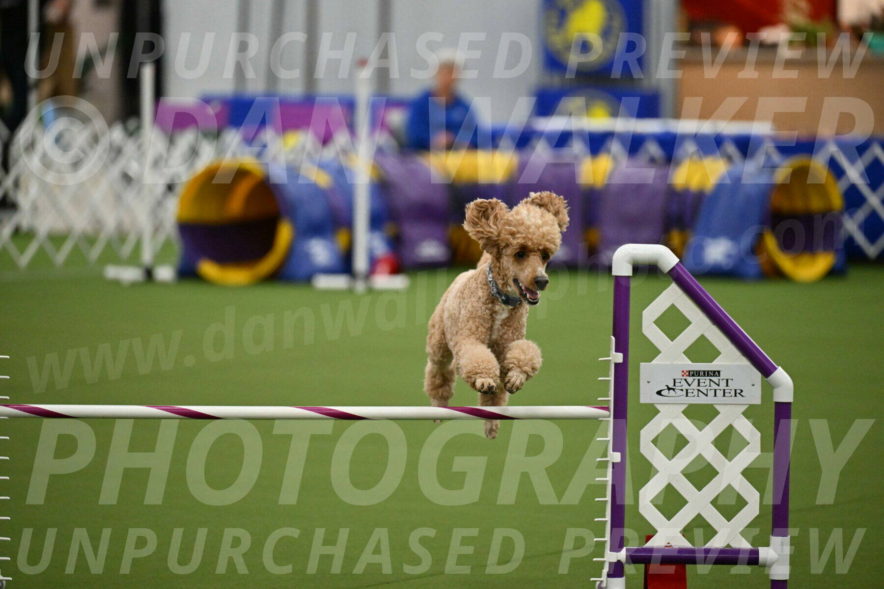 MAS-EX-JWW-20-Inch_2807