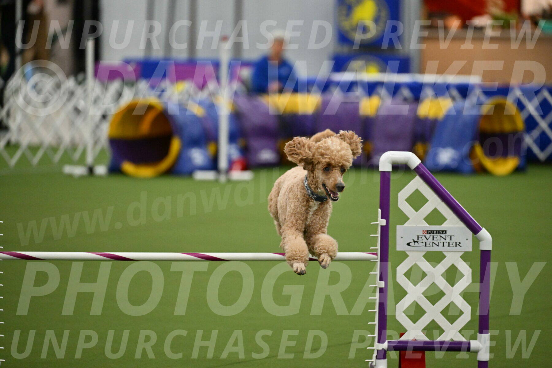 MAS-EX-JWW-20-Inch_2808