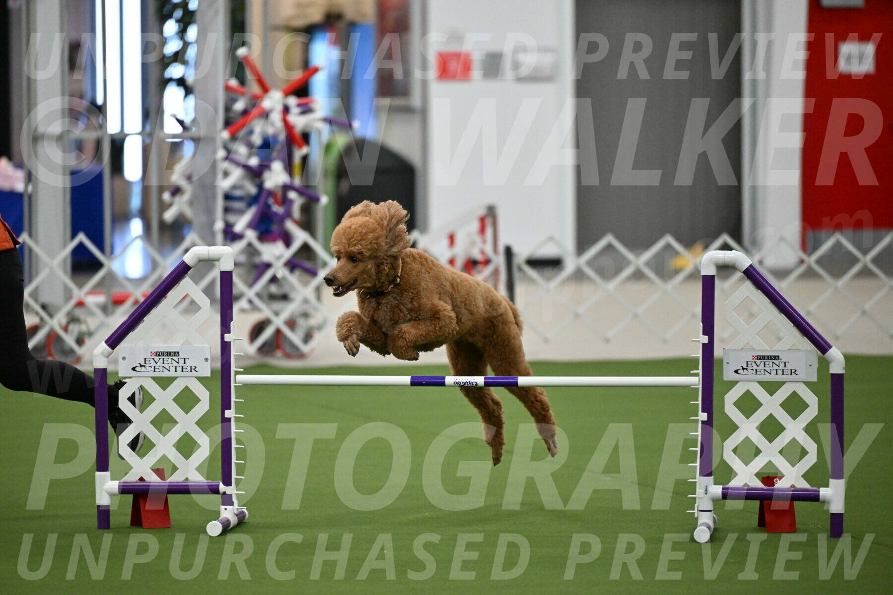MAS-EX-JWW-20-Inch_3123