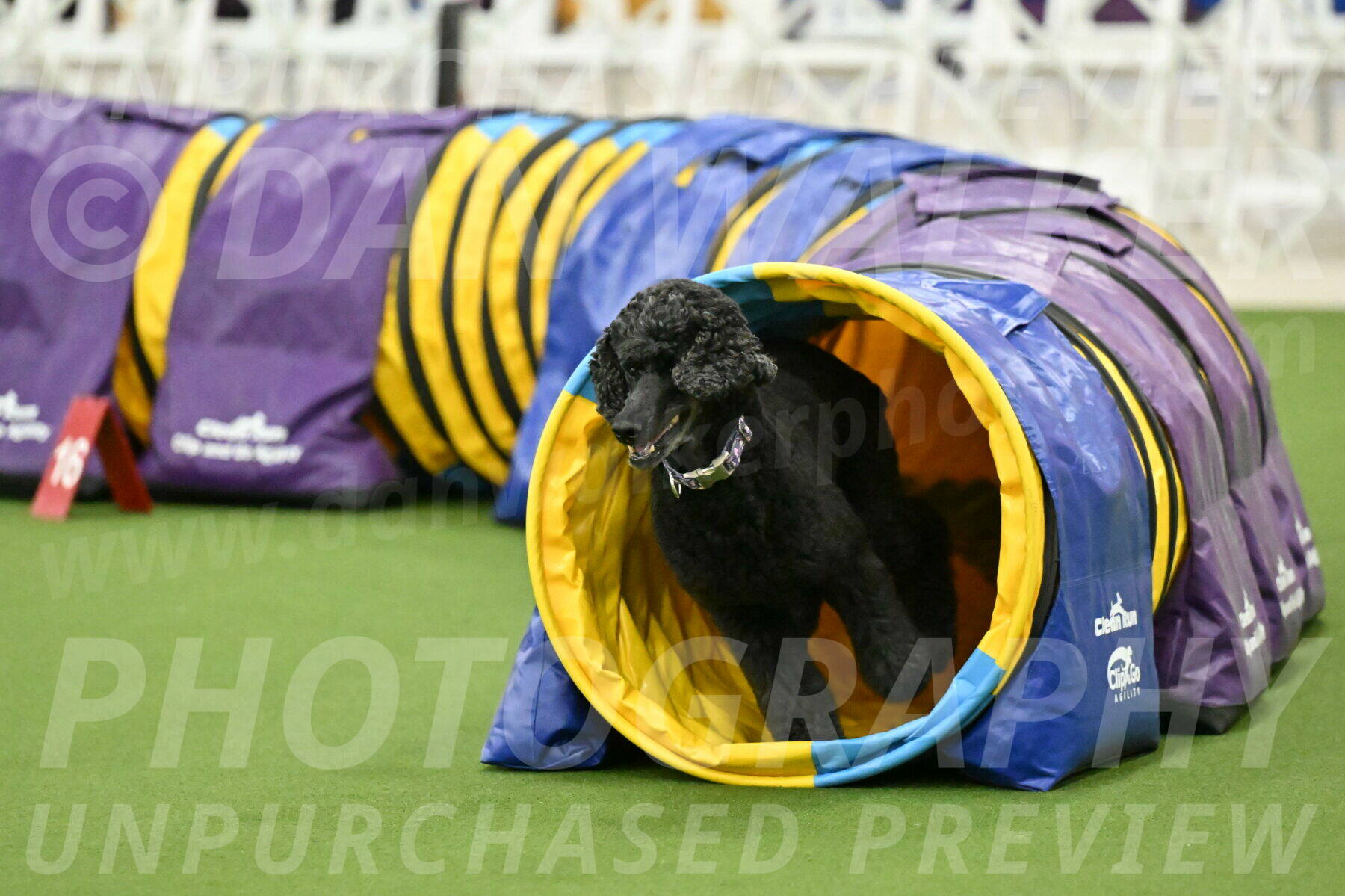 MAS-EX-JWW-20-Inch_3364