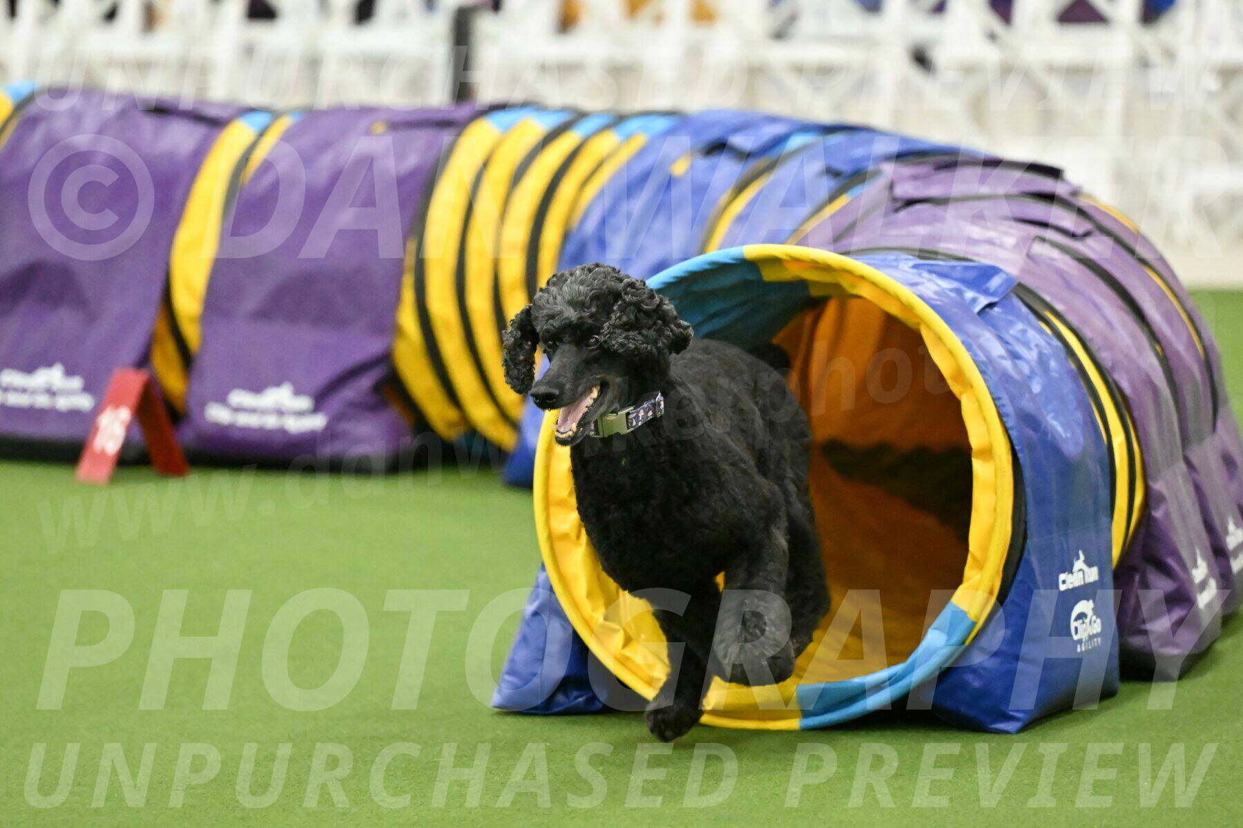 MAS-EX-JWW-20-Inch_3365