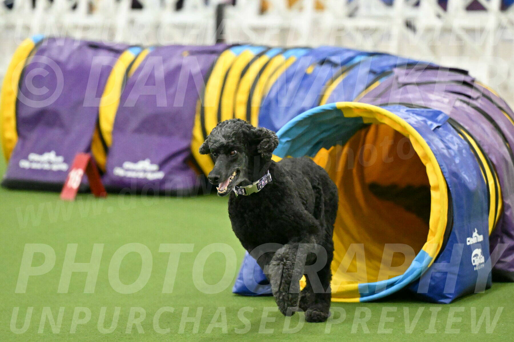 MAS-EX-JWW-20-Inch_3366