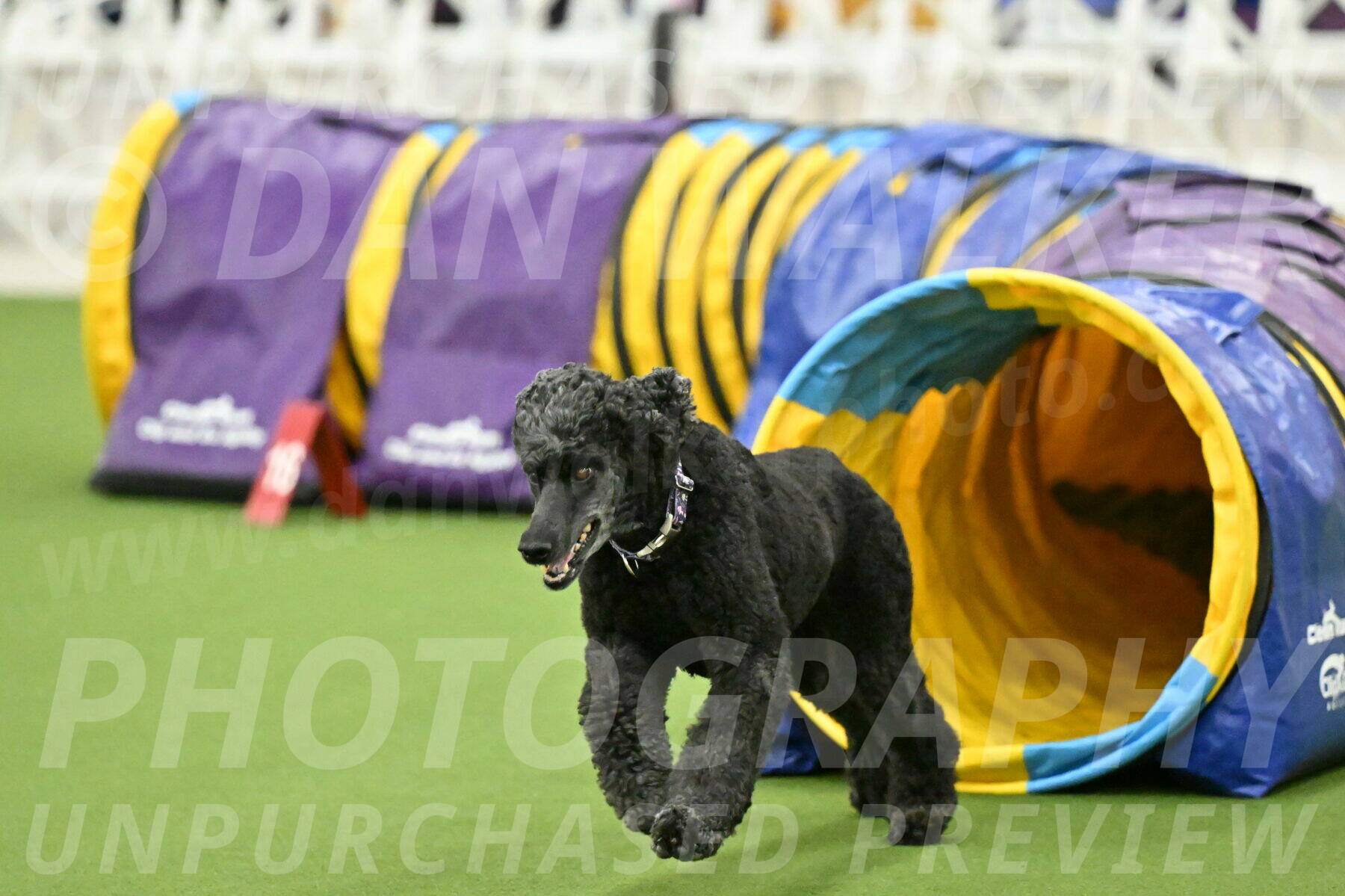 MAS-EX-JWW-20-Inch_3367