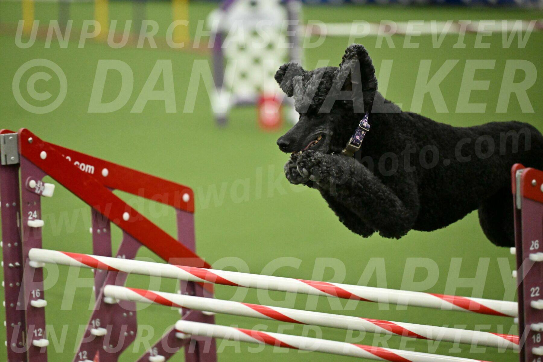 MAS-EX-JWW-20-Inch_3375