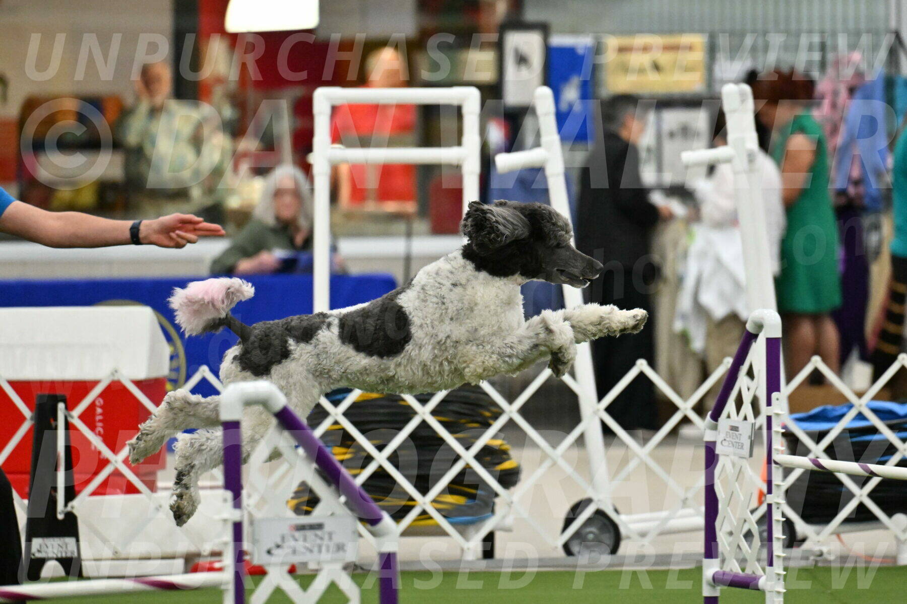 MAS-EX-JWW-20-Inch_3380