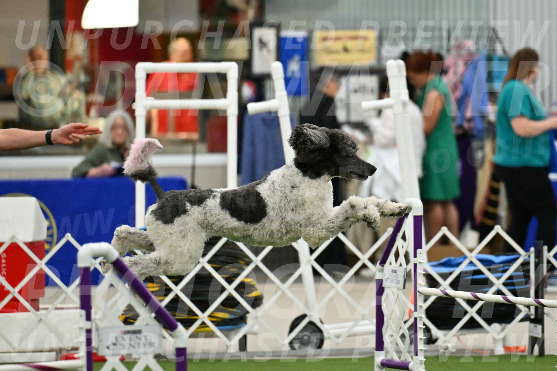 MAS-EX-JWW-20-Inch_3381