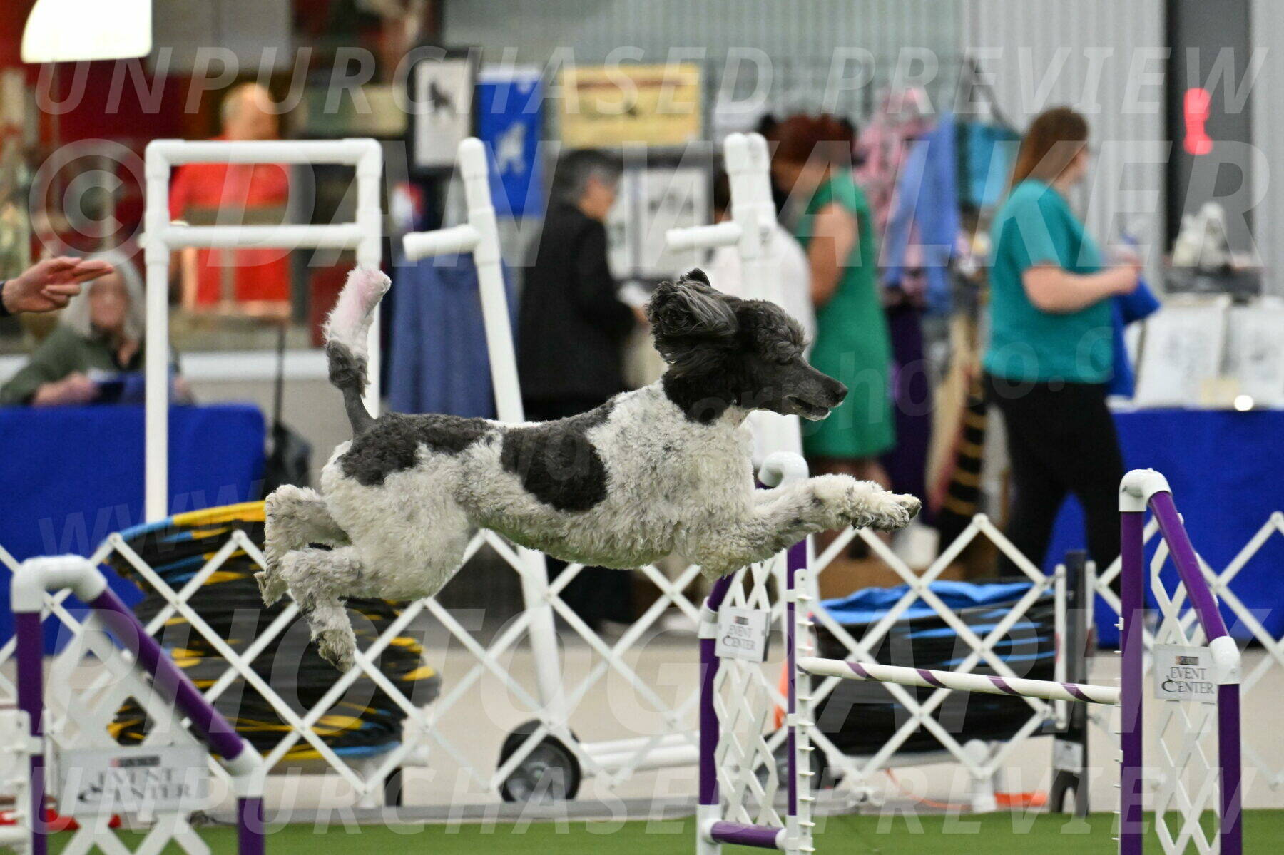 MAS-EX-JWW-20-Inch_3382