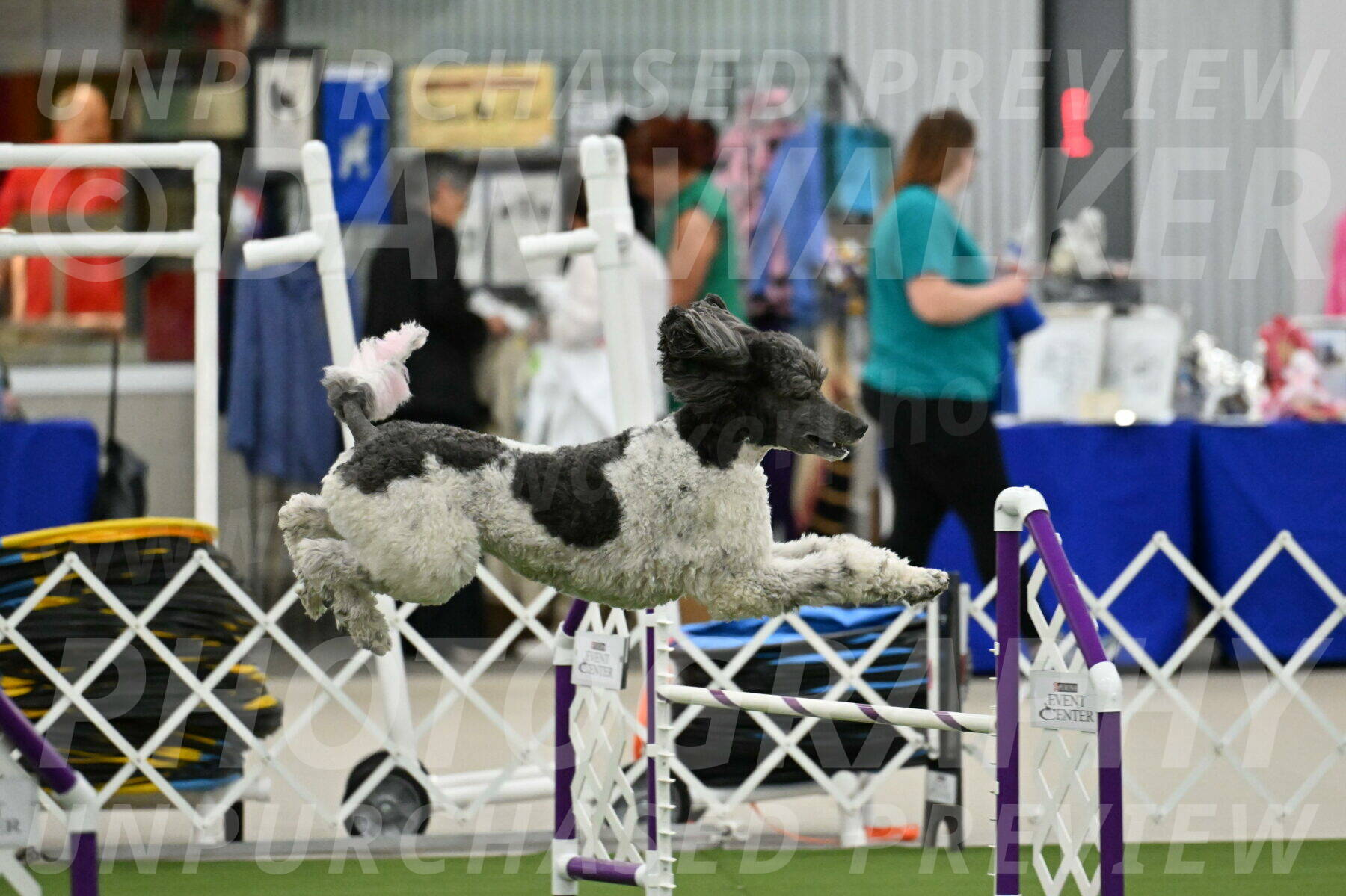 MAS-EX-JWW-20-Inch_3383