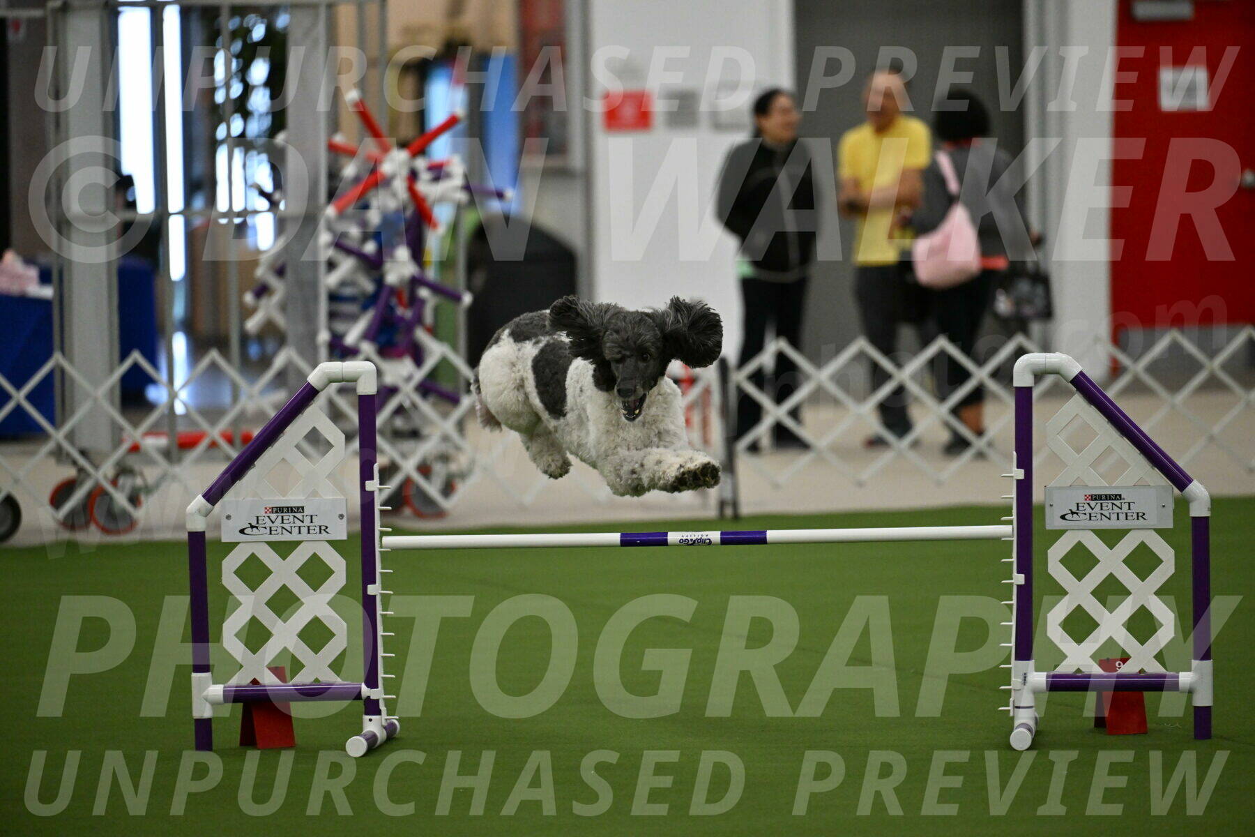 MAS-EX-JWW-20-Inch_3384