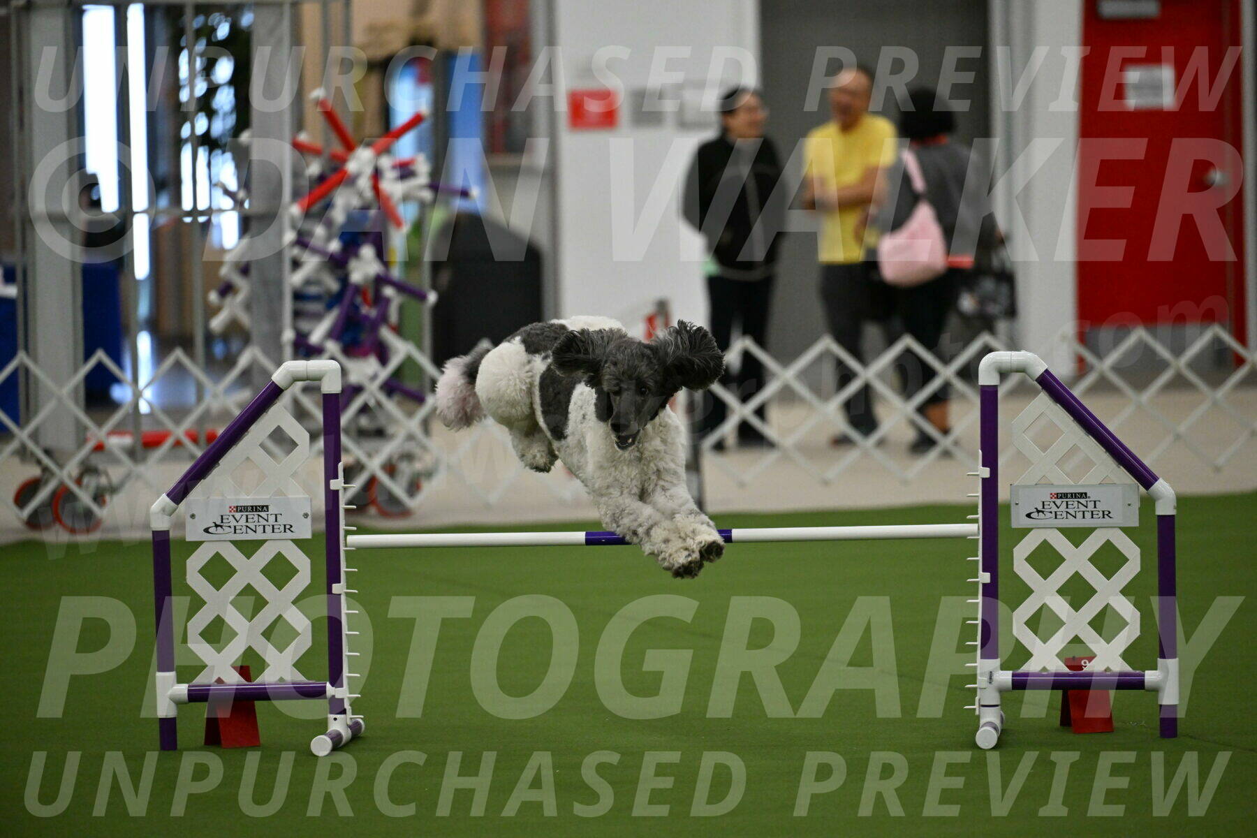 MAS-EX-JWW-20-Inch_3385