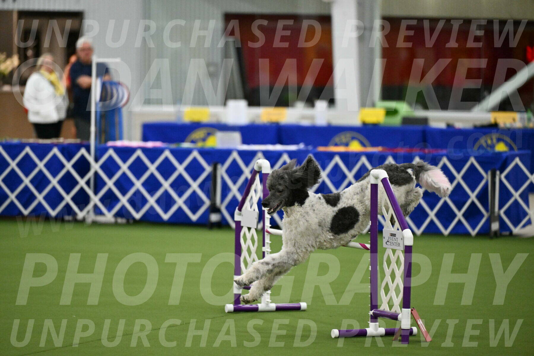 MAS-EX-JWW-20-Inch_3399