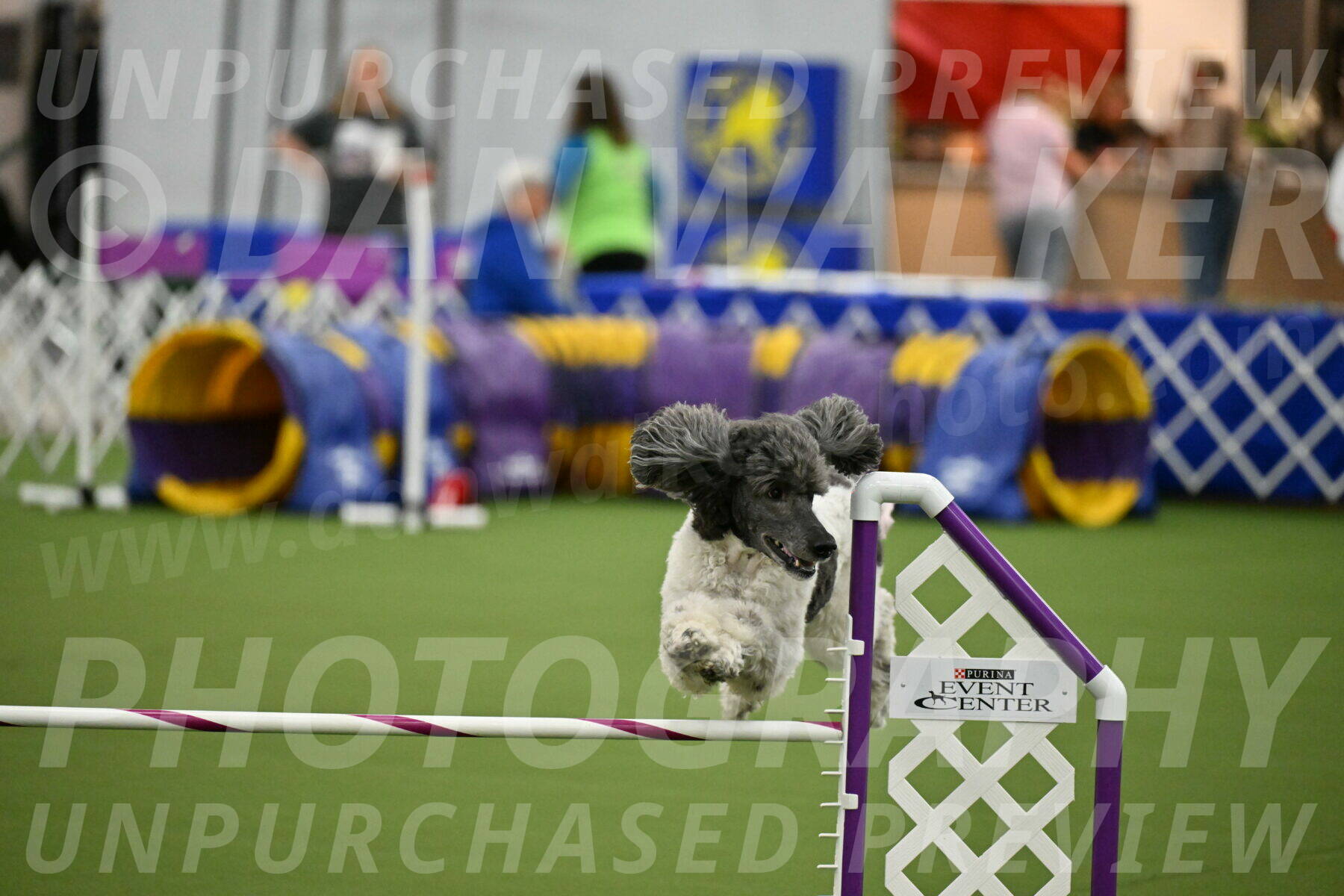 MAS-EX-JWW-20-Inch_3403