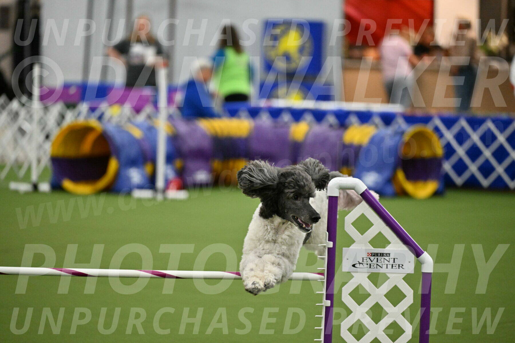 MAS-EX-JWW-20-Inch_3404