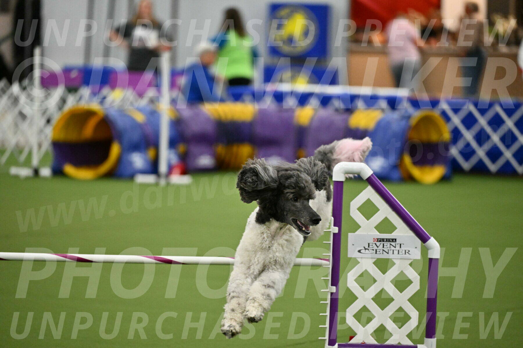 MAS-EX-JWW-20-Inch_3405