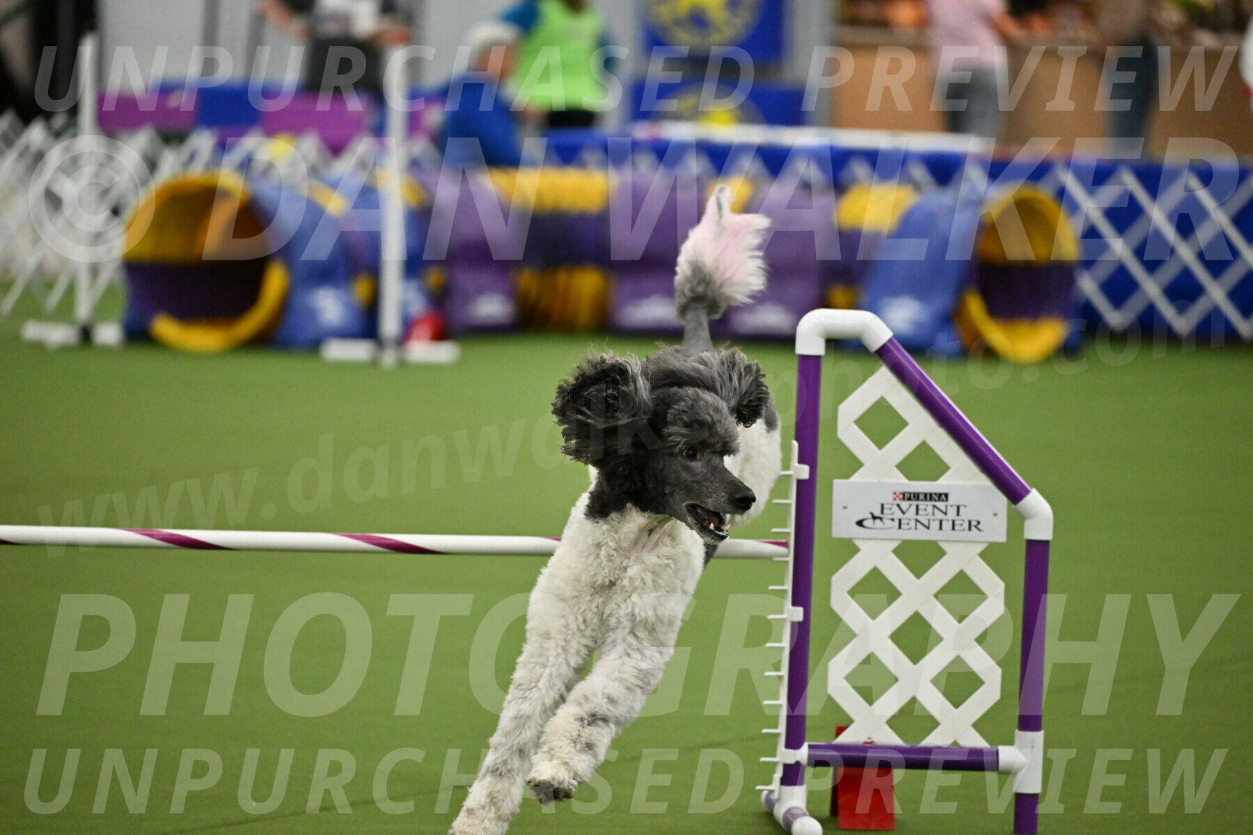 MAS-EX-JWW-20-Inch_3406