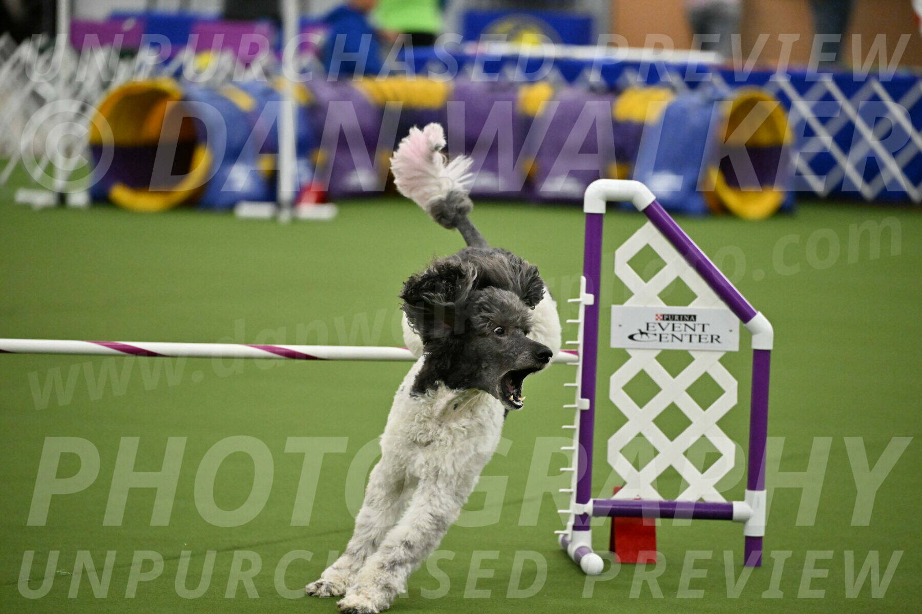 MAS-EX-JWW-20-Inch_3407