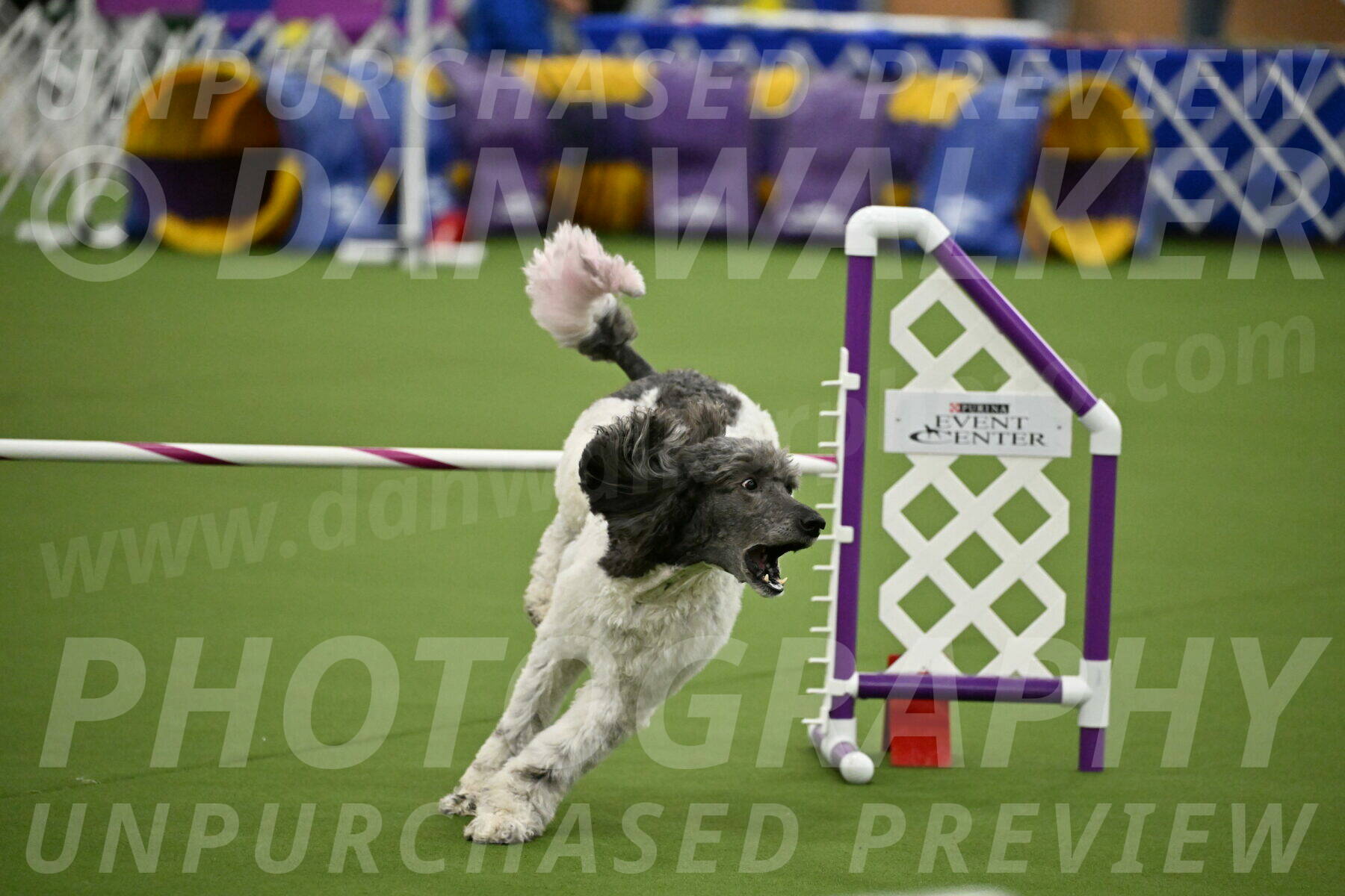 MAS-EX-JWW-20-Inch_3408